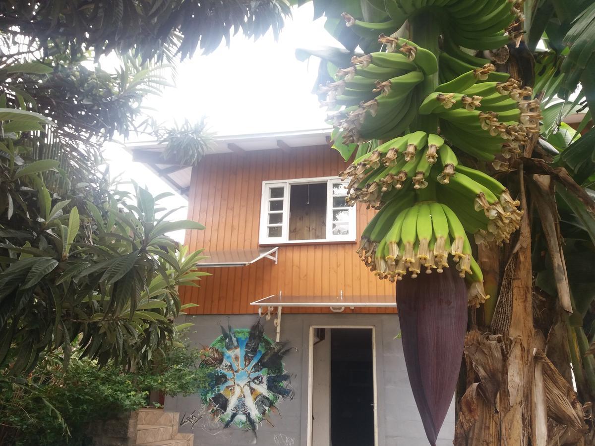 Hostel Casa Terra Florianópolis Exterior foto